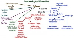 Understanding the Driftwood Lines