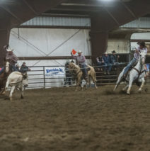 ICA Team Roping Champs!