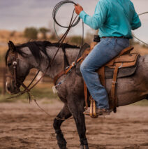 “Primo” MY Stetson 902